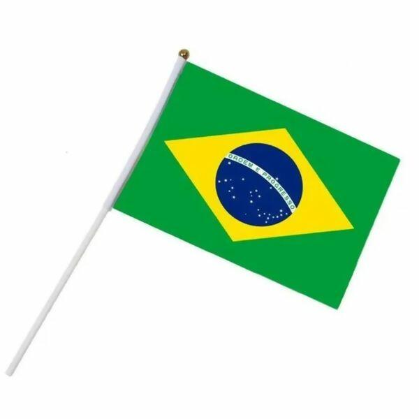 bandeira_mao_brasil_haste