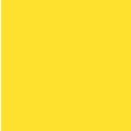 chapeu_amarelo_ydh_9753