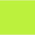 chapeu_verde-ydh-9753