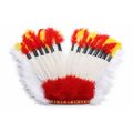 cocar_indigena_ydh_0296