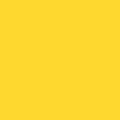 elastico_saojose_colorido_n12_7mm_10m_amarelo