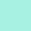 elastico_saojose_colorido_rolico_verde_agua_