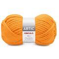 fio_artic_4146