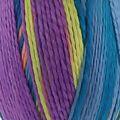 fio_cisne_rendidora_multicolor_0142_