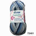 Fio Cisne Todo Dia Colors - 100g