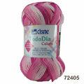 Fio Cisne Todo Dia Colors - 100g