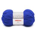 fio_enjoy_2555