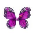kit_borboleta_roxa_ydh_4655